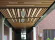 Explore custom wood ceiling tiles for every design style (4)